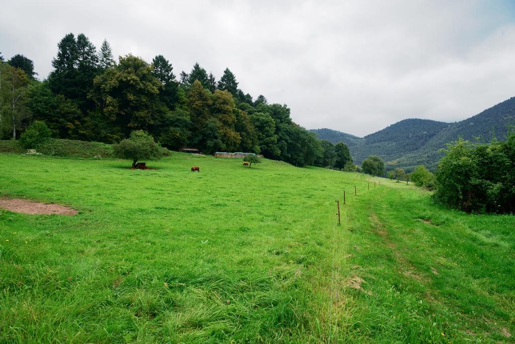Gite Du Windstein Ruang foto