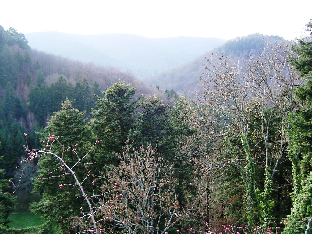 Gite Du Windstein Bagian luar foto
